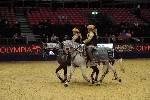 Quadrille - 00694